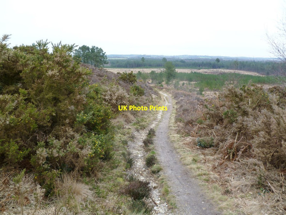 Photo 6"x4" Woolsbarrow, path East Bloxworth c2012