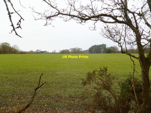 Photo 6"x4" Bloxworth, arable field East Bloxworth c2012
