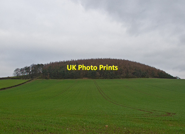 Photo 6"x4" Farmland at Myrecairnie Foodieash c2012
