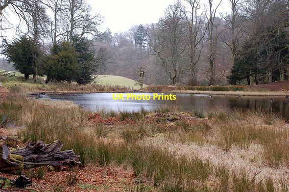 Photo 6"x4" Hurley Pond Penicuik c2012