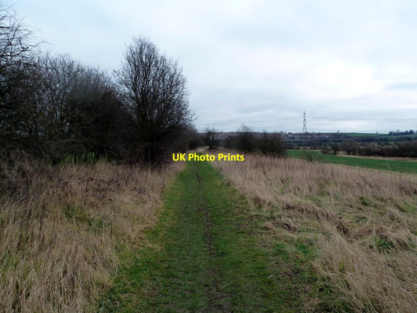 Photo 6"x4" On the Cuckoo Way Staveley\/SK4374 c2012
