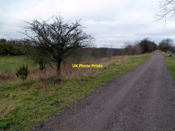 Photo 6"x4" On the Trans Pennine Trail Staveley\/SK4374 c2012