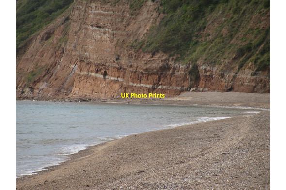 Photo 6"x4" Higher Dunscombe Cliff from Weston Mouth Salcombe Regis c2011