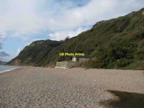 Photo 6"x4" Lower Dunscombe Cliff Weston\/SY1688 c2011
