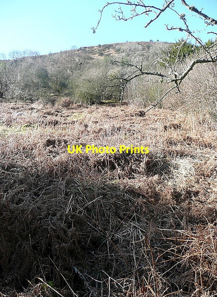 Photo 6"x4" Looking up at Graig Ddu Llanthony c2012
