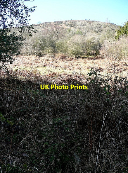 Photo 6"x4" Looking up at Graig Ddu Llanthony c2012 P1