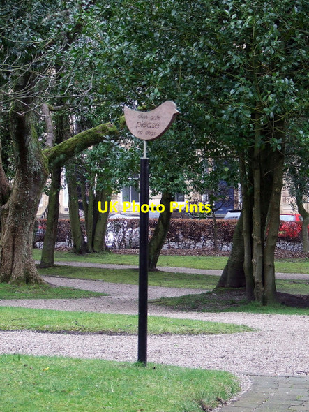 Photo 6"x4" Garden in Park Circus Glasgow c2012