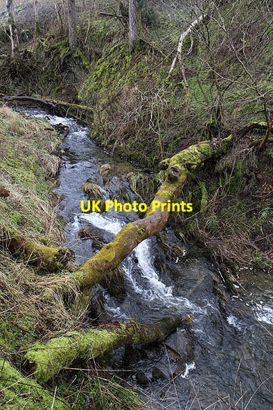 Photo 6"x4" Newmill Burn Newmill\/NT4510 c2012