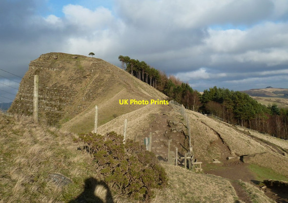 Photo 6"x4" Back Tor and Brockett Booth Plantation Nether Booth c2012