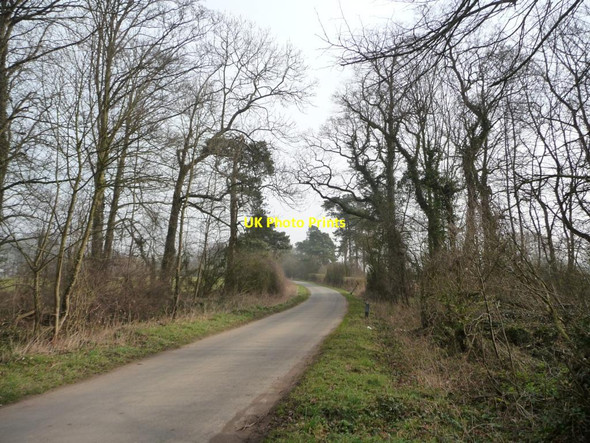 Photo 6"x4" The road to Bossall Bossall c2012