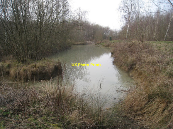 Photo 6"x4" Fishing pond in Wickenby Wood Friesthorpe c2012