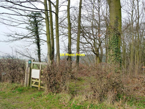 Photo 6"x4" Walkers welcome Howsham\/SE7362 c2012