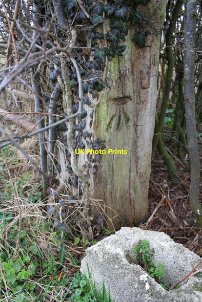 Photo 6"x4" Benchmark on wooden gatepost, Sheepcroft Farm Stanford in the Vale c2012