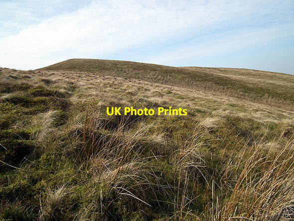 Photo 6"x4" Looking towards the summit of Fuches Wen (447 metres) Ysbyty Cynfyn c2012