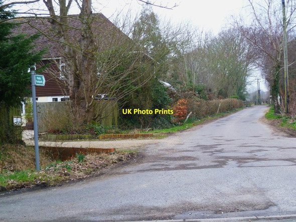 Photo 6"x4" Footpath west from Bell Lane Somerley\/SZ8198 c2012