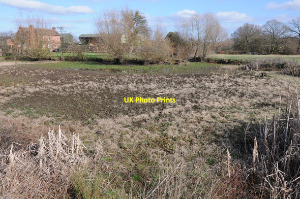 Photo 6"x4" Semi-dried up pond Monkwood Green c2012