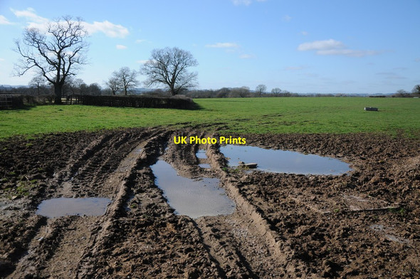 Photo 6"x4" Field at Moseley Monkwood Green c2012