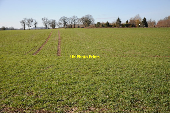 Photo 6"x4" Arable land west of Shoulton Lower Broadheath c2012