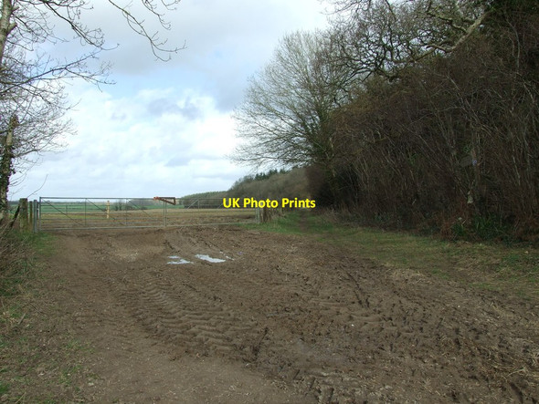 Photo 6"x4" Bridleway, Next To Hogstock Coppice Hogstock c2012