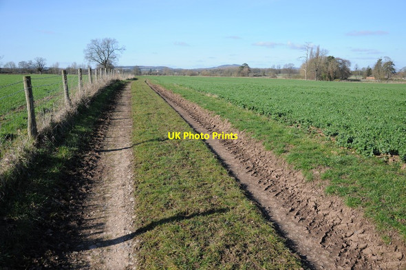 Photo 6"x4" Farm track and arable land Lower Broadheath c2012