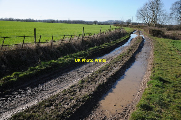 Photo 6"x4" Track to Woodhall Farm Cobbler's Corner\/SO7756 c2012