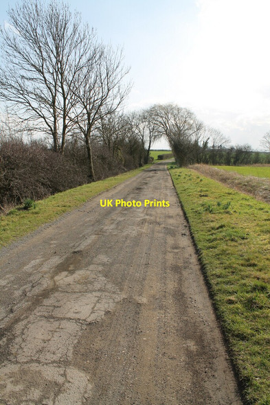 Photo 6"x4" Track to Staplegate Farm Corringham\/SK8791 c2012