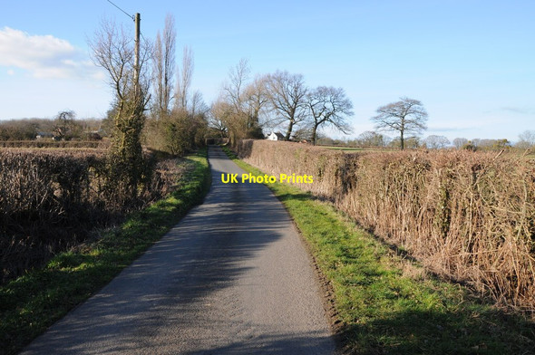 Photo 6"x4" Road to King's Green King's Green\/SO7760 c2012