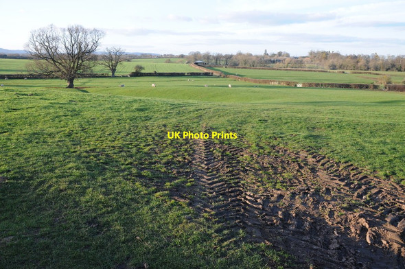 Photo 6"x4" Farmland near Heath Farm Hallow Heath c2012