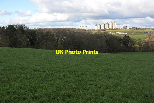 Photo 6"x4" Grass field Millheugh\/NS7551 c2012
