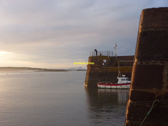 Photo 6"x4" Coastal East Lothian : Photographer at North Berwick harbour North Berwick c2012