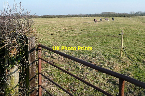 Photo 6"x4" Paddock at Millaway Bridge Goosey c2012