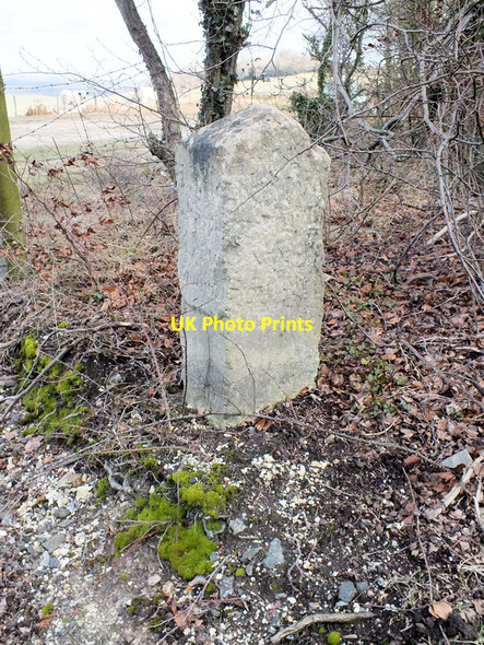 Photo 6"x4" Milestone, Witherington Down West Grimstead c2012