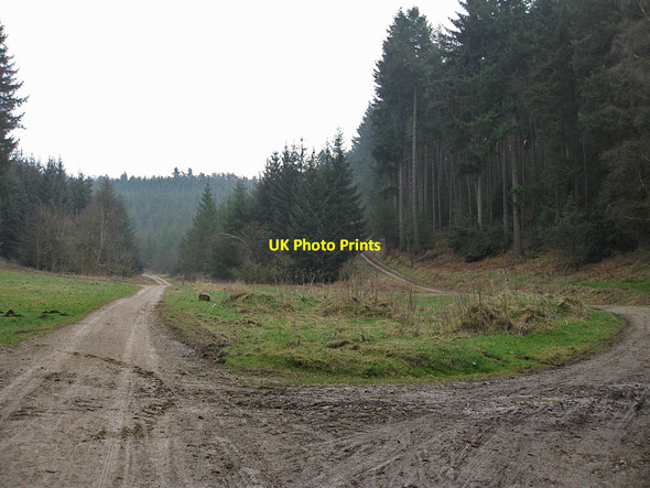 Photo 6"x4" Paths to the riggs and dales Low Dalby c2012
