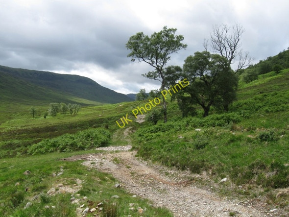 Photo 6"x4" Track in Glen Loy at Brian Choille Brian Choille\/NN0684 c2008