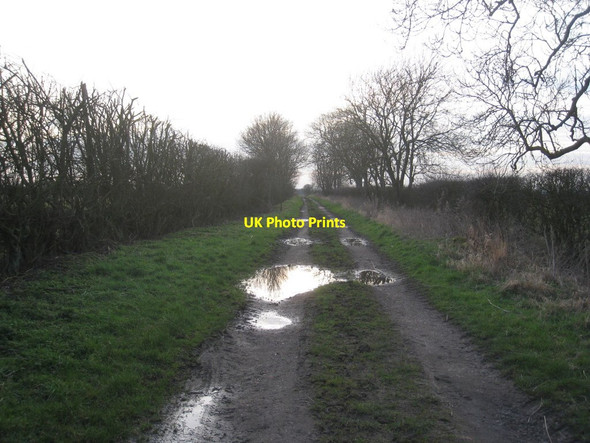Photo 6"x4" The lane from Prospect Farm to Stockmoor Lane Market Rasen c2012