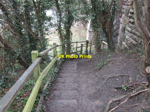 Photo 6"x4" Walking down the steps towards the River Wharfe Tadcaster c2012