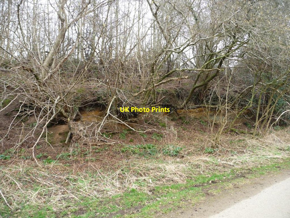 Photo 6"x4" Low cliff north of Low Lane Westow c2012