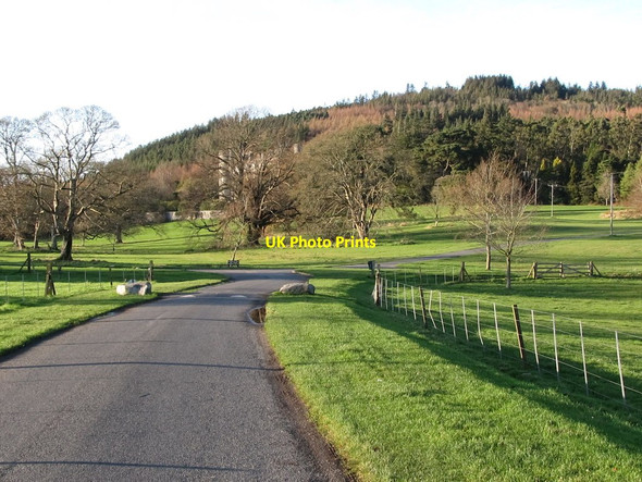 Photo 6"x4" Parkland and Forest at Castlewellan Castle Castlewellan c2011