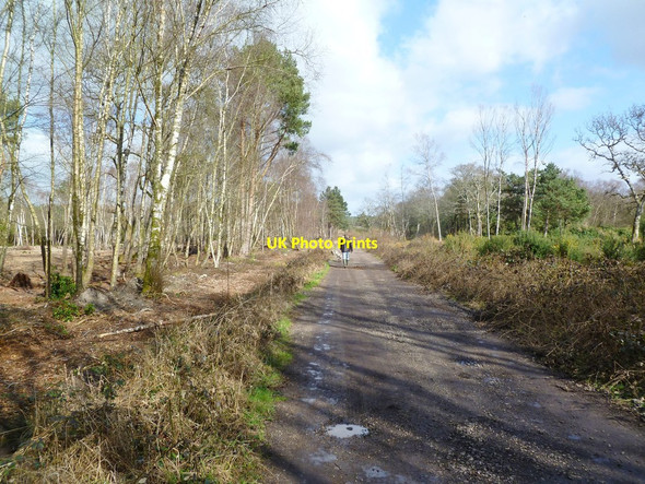 Photo 6"x4" Moreton Drive Moreton\/SY8089 c2012