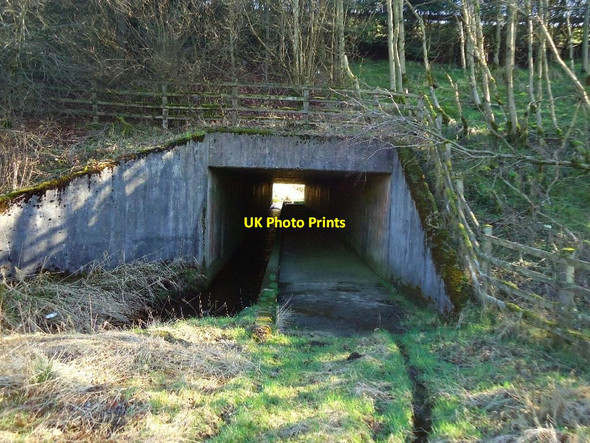 Photo 6"x4" M8, tunnel [2] Salsburgh c2012