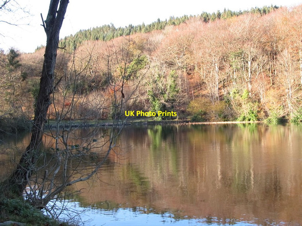 Photo 6"x4" The upper end of Castlewellan Lake Castlewellan c2011