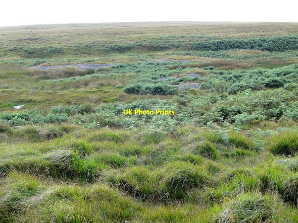Photo 6"x4" The Upper Reaches of the Bala Brook Valley Didworthy c2011