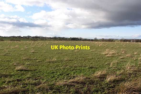 Photo 6"x4" Field, Netherburn Netherburn\/NS8047 c2012