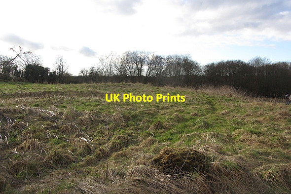 Photo 6"x4" Rough grassland Netherburn\/NS8047 c2012