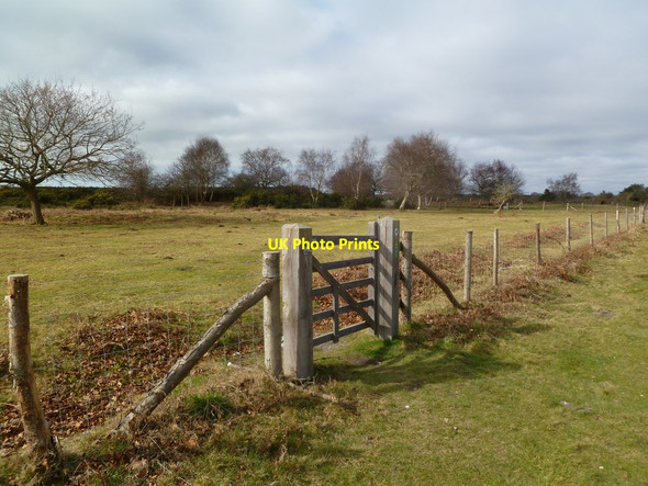 Photo 6"x4" Godlingston Heath, gate Studland c2012