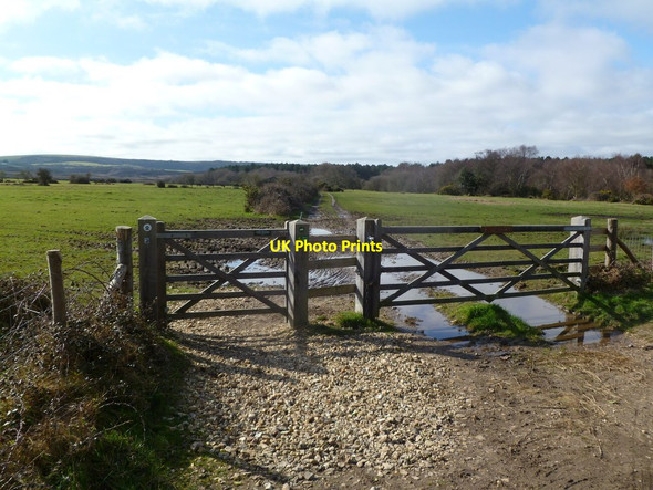 Photo 6"x4" Godlingston Heath, gates Studland c2012