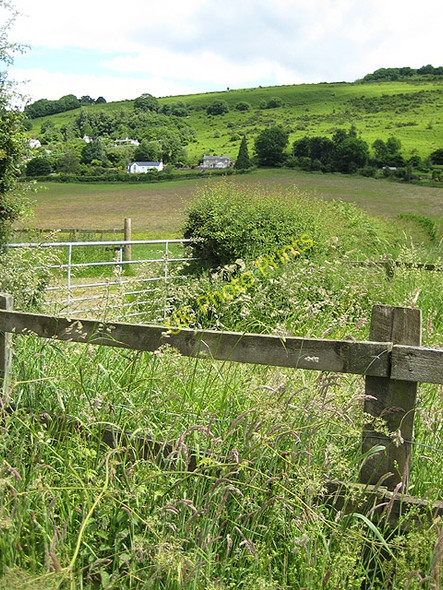 Photo 6"x4" Scattered dwellings on Coppett  Hill Goodrich c2008