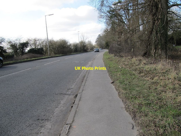 Photo 6"x4" Bath Road at Midgham Park Midgham Green c2012