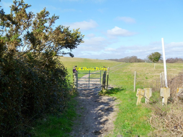 Photo 6"x4" Newton, gate Bushey\/SY9883 c2012