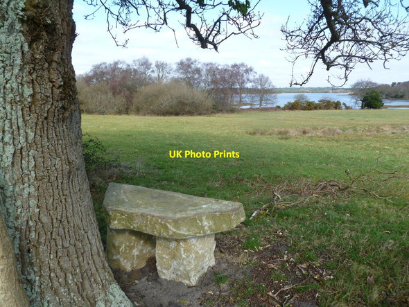 Photo 6"x4" Newton, stone seat Bushey\/SY9883 c2012
